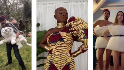 Capture d'écran de comptes TikTok