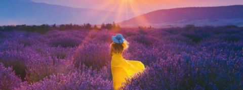 La stratégie RSE du Groupe Rocher Une femme portant une robe jaune dans un champ de lavande