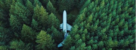 Les grandes entreprises s'engagent pour une économie verte Un avion dans une forêt