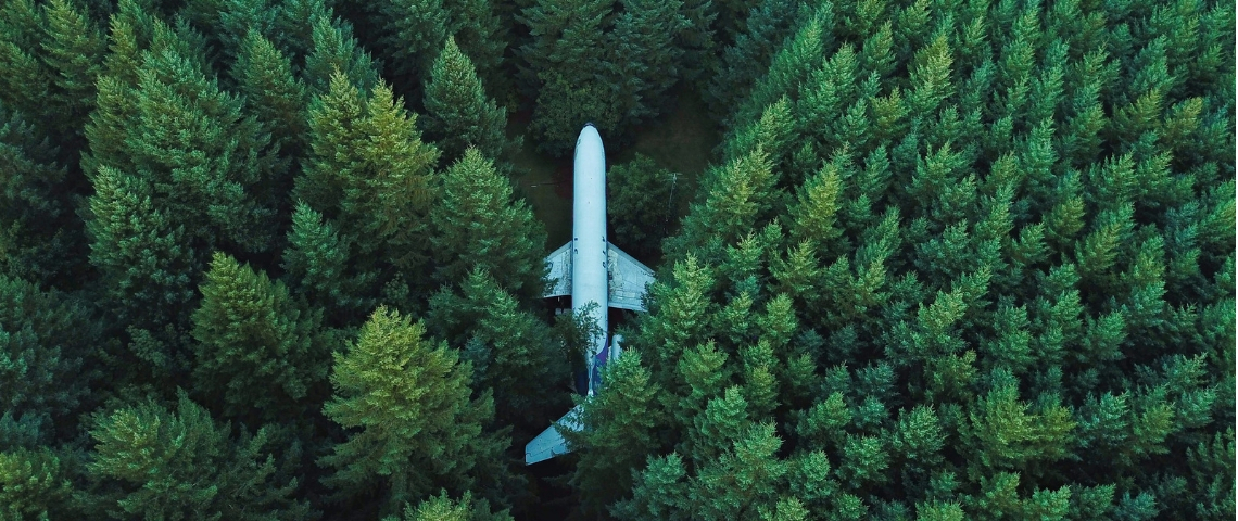 Les grandes entreprises s'engagent pour une économie verte Un avion dans une forêt