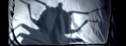 Inconscient et pandémie : ces rêves qui ont (peut-être) hanté votre confinement l'ombre d'un insecte sur un oreiller