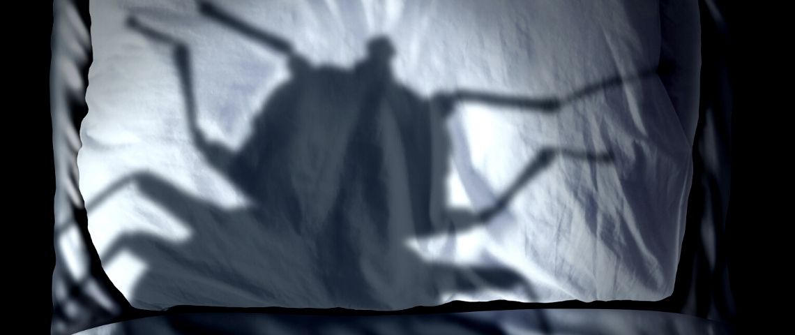 Inconscient et pandémie : ces rêves qui ont (peut-être) hanté votre confinement l'ombre d'un insecte sur un oreiller