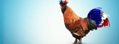 - Spoiler - a désormais son équivalent français Un coq sur fond bleu avec une queue tricolore