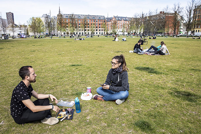 Des Danois dans un parc