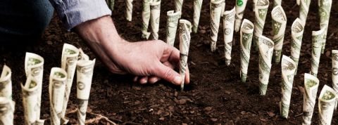 Le capitalisme peut-il sauver la planète ? Un homme en train de planter des dollars dans le sol