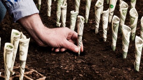 Un homme en train de planter des dollars dans le sol