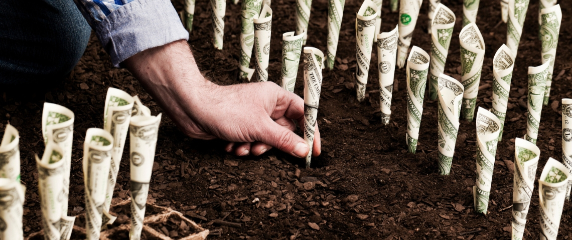 Le capitalisme peut-il sauver la planète ? Un homme en train de planter des dollars dans le sol