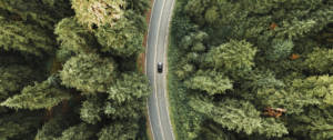 Une voiture sur une route au milieu d'une forêt