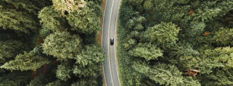 Que pensent les salariés français de l'économie positive ? Une voiture sur une route au milieu d'une forêt