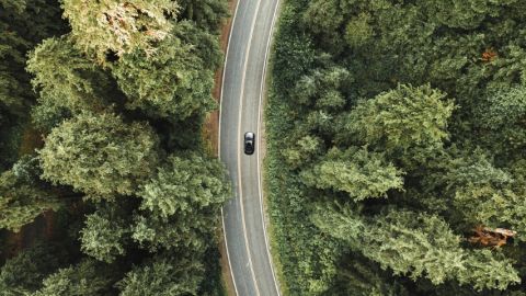 Une voiture sur une route au milieu d'une forêt