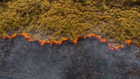Un incendie dans la forêt amazonienne