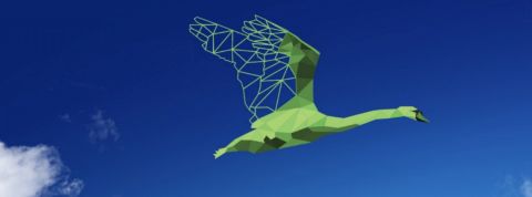 Comment entrer dans l'ère du capitalisme régénératif ? Un cygne vert volant dans le ciel