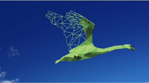 Comment entrer dans l'ère du capitalisme régénératif ? Un cygne vert volant dans le ciel