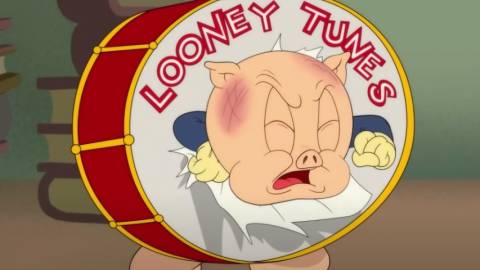 Un cochon coincé dans un tambour