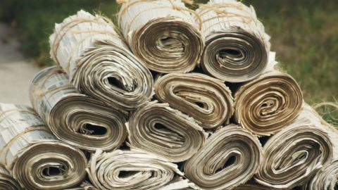 presse : toujours plus d'abonnements payant presse : toujours plus d'abonnements payant