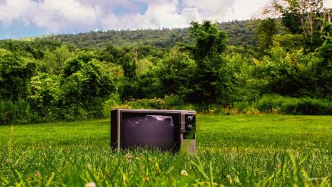 Une télé dans un pré