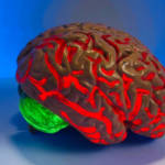 Un cerveau rouge lumineux sur fond bleu