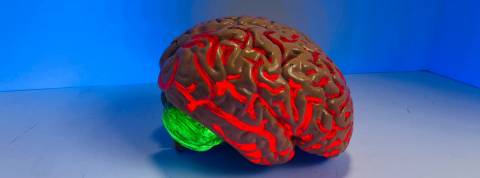 Comment interpréter les tendances au regard du Covid-19 ? Un cerveau rouge lumineux sur fond bleu