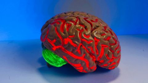 Un cerveau rouge lumineux sur fond bleu