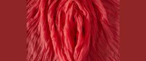 Des draps rouges arrangés pour former une vulve