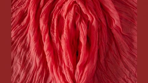 Des draps rouges arrangés pour former une vulve