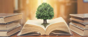 Un arbre sortant d'un livre