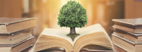 Pourquoi est-il important de comprendre l'histoire de l'écologie ? Un arbre sortant d'un livre