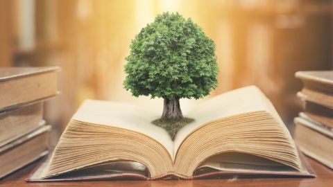 Un arbre sortant d'un livre