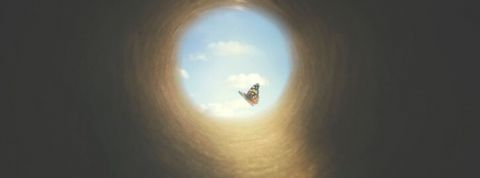 Pourquoi les entreprises ont-elles raison de mettre la résilience au cœur de leur stratégie ? Un papillon au bout du tunnel