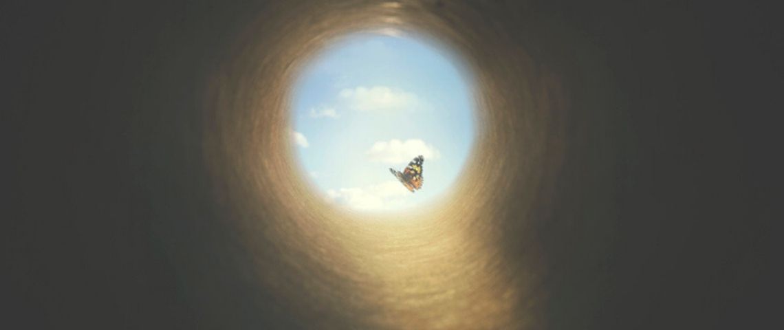 Pourquoi les entreprises ont-elles raison de mettre la résilience au cœur de leur stratégie ? Un papillon au bout du tunnel