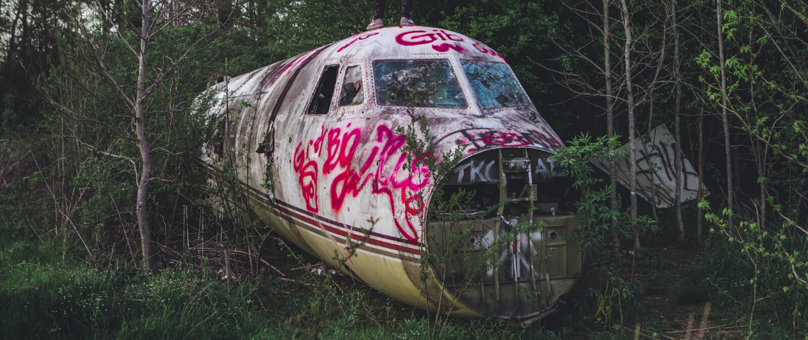 vivre ruines capitalisme anna tsing avion dans une forêt abandonnée