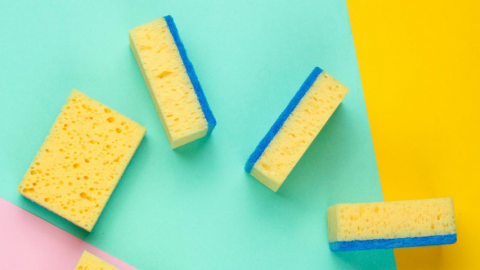 L'entreprise éponge réinvention par le design