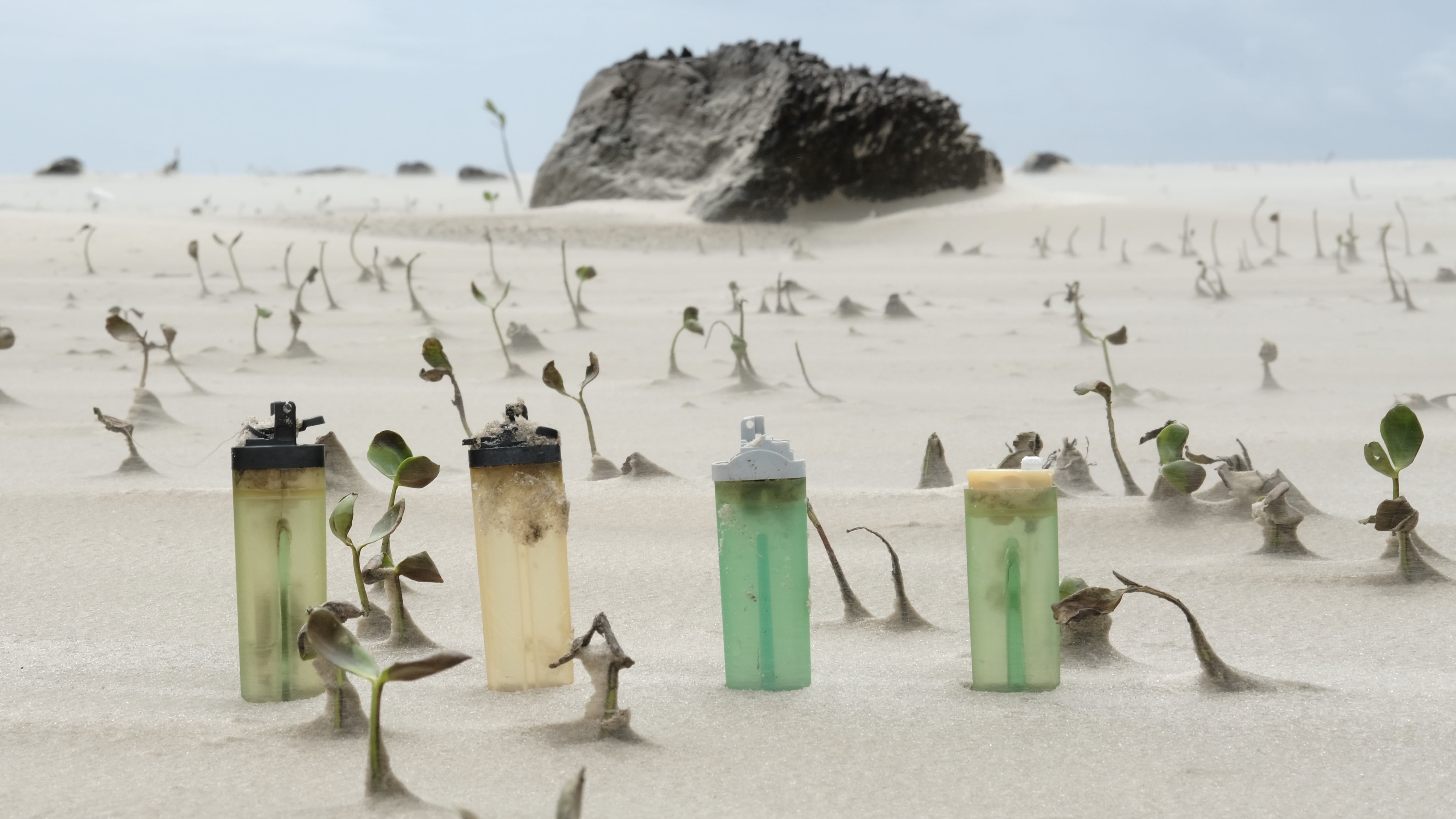 des briquets sur une plage