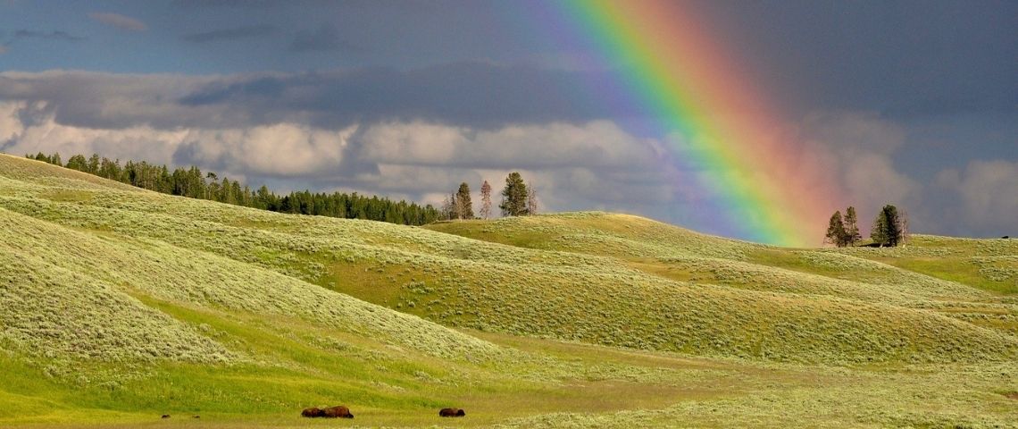 Chanel lève 600 millions d’euros pour sa première dette verte Arc en ciel sur une prairie
