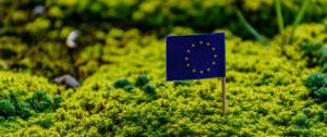 Le drapeau de l'Union Européenne planté dans l'herbe