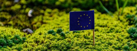 Quelles sont les entreprises les plus performantes en RSE ? Le drapeau de l'Union Européenne planté dans l'herbe
