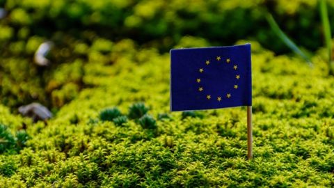 Le drapeau de l'Union Européenne planté dans l'herbe