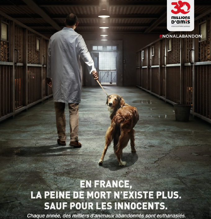 30 millions d'amis lance une campagne de sensibilisation à