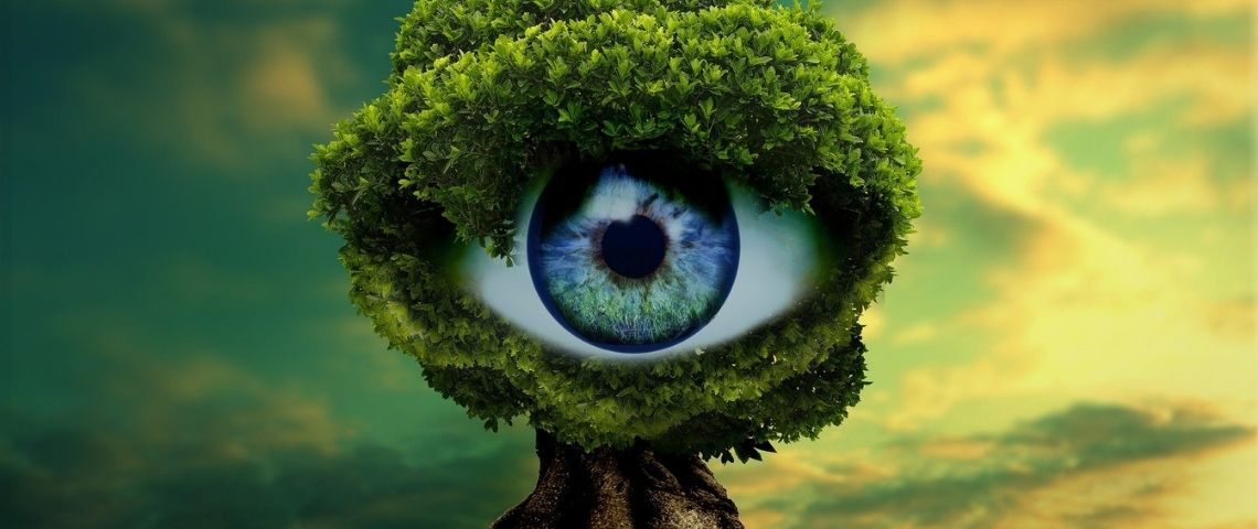 La loi Évin Climat sera examinée le 30 septembre 2020 à l’Assemblée Arbre avec un oeil au centre
