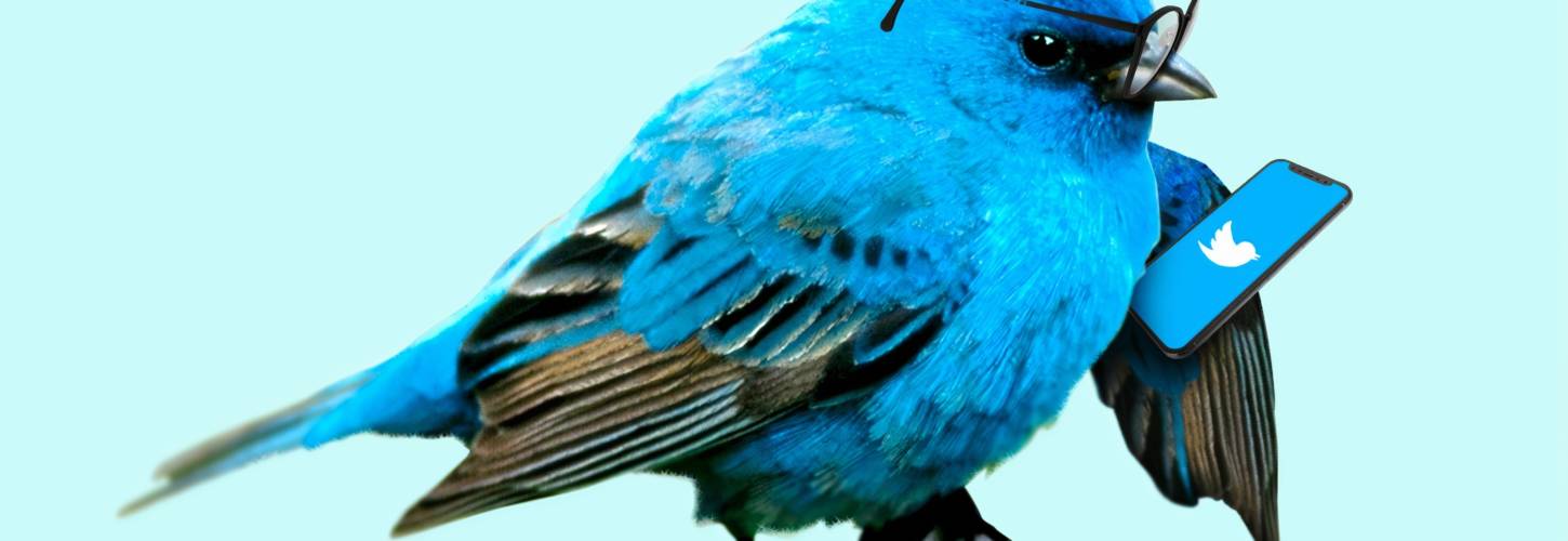 Des internautes accusent Twitter d'être raciste Oiseau bleu en train de regarder Twitter