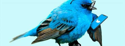 Des internautes accusent Twitter d'être raciste Oiseau bleu en train de regarder Twitter