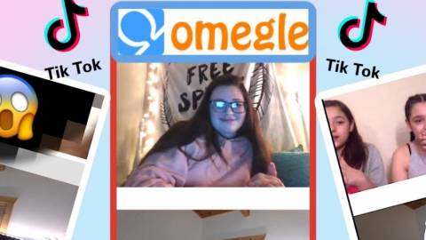 des extrait de chat vidéo