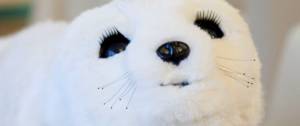 Gros plan de Paro, le robot peluche thérapeutique