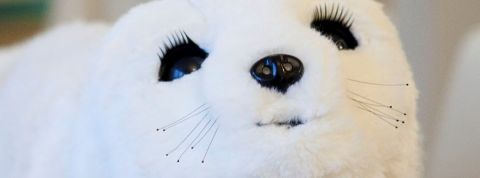 La crise sanitaire banalise les robots animaux Gros plan de Paro, le robot peluche thérapeutique