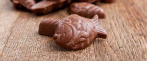 Des poissons en chocolat