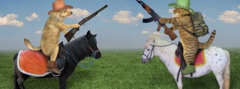 Hérétique : - Pendant que les GAFA se tirent dessus, commençons à bâtir des alternatives - Duel de chien et chat armés sur poneys shetland