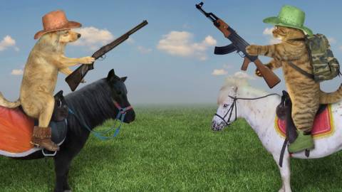 Duel de chien et chat armés sur poneys shetland