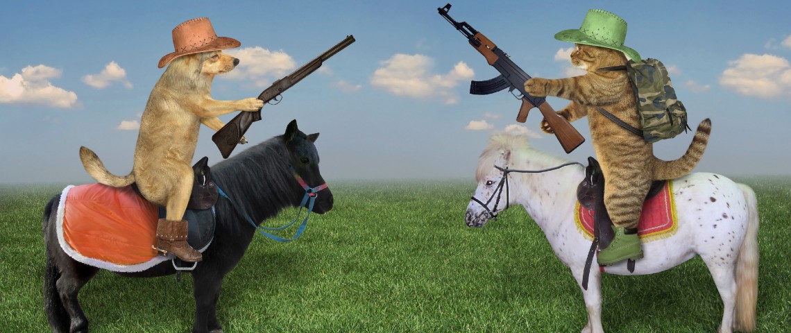 Hérétique : - Pendant que les GAFA se tirent dessus, commençons à bâtir des alternatives - Duel de chien et chat armés sur poneys shetland