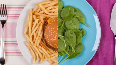 Une assiette avec une moitié de burger et une moitié d'épinards