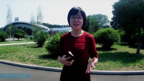 Une jeune fille dans un parc vert